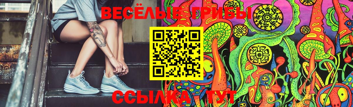Волжск  Галлюциногенные грибы Magic Shrooms  Вход с VPN  Псилоцибиновые грибы Cubensis 