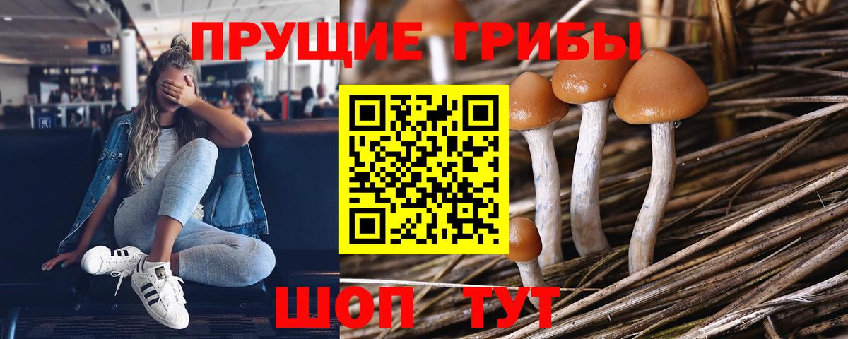 Галлюциногенные грибы GOLDEN TEACHER Волжск
